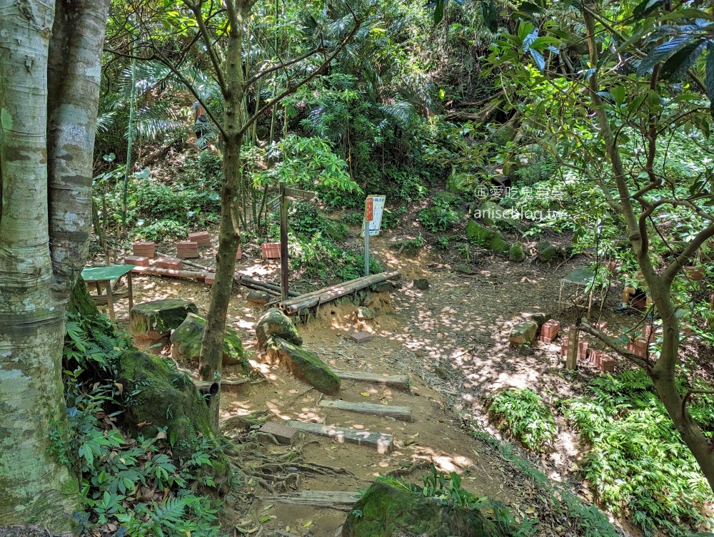 五寮尖登山步道，要手腳並用的拉繩攀岩路線，新北三峽景點(姊姊遊記)