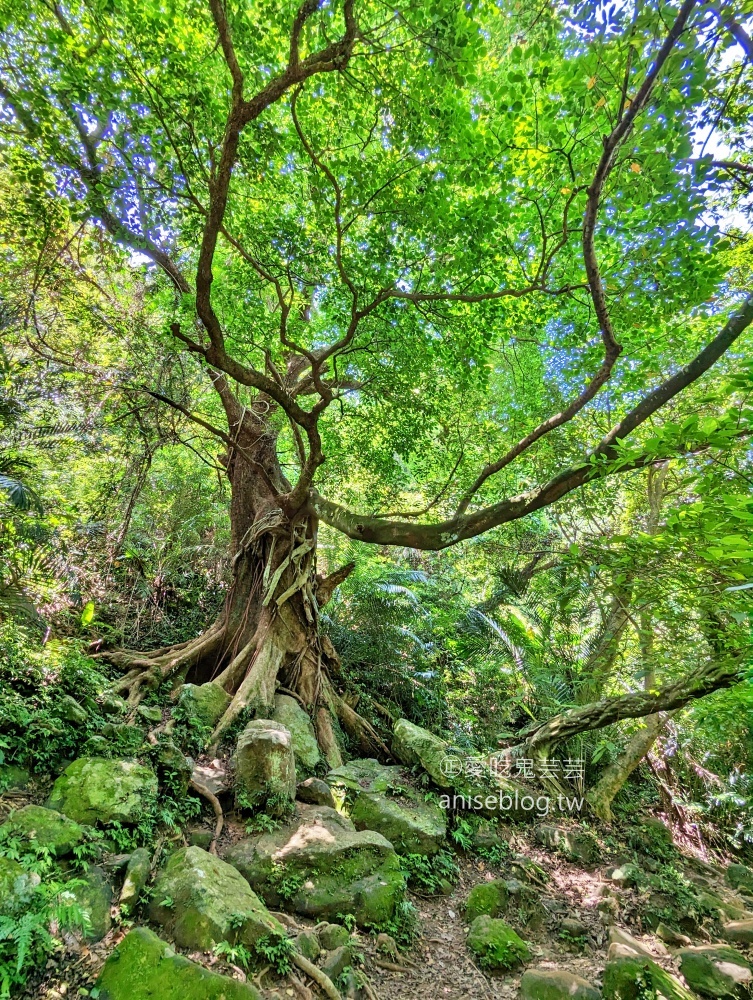 五寮尖登山步道，要手腳並用的拉繩攀岩路線，新北三峽景點(姊姊遊記)