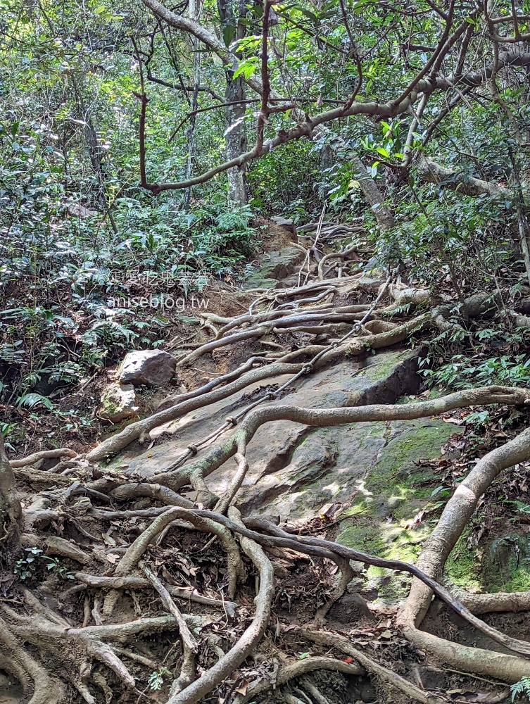 五寮尖登山步道，要手腳並用的拉繩攀岩路線，新北三峽景點(姊姊遊記)