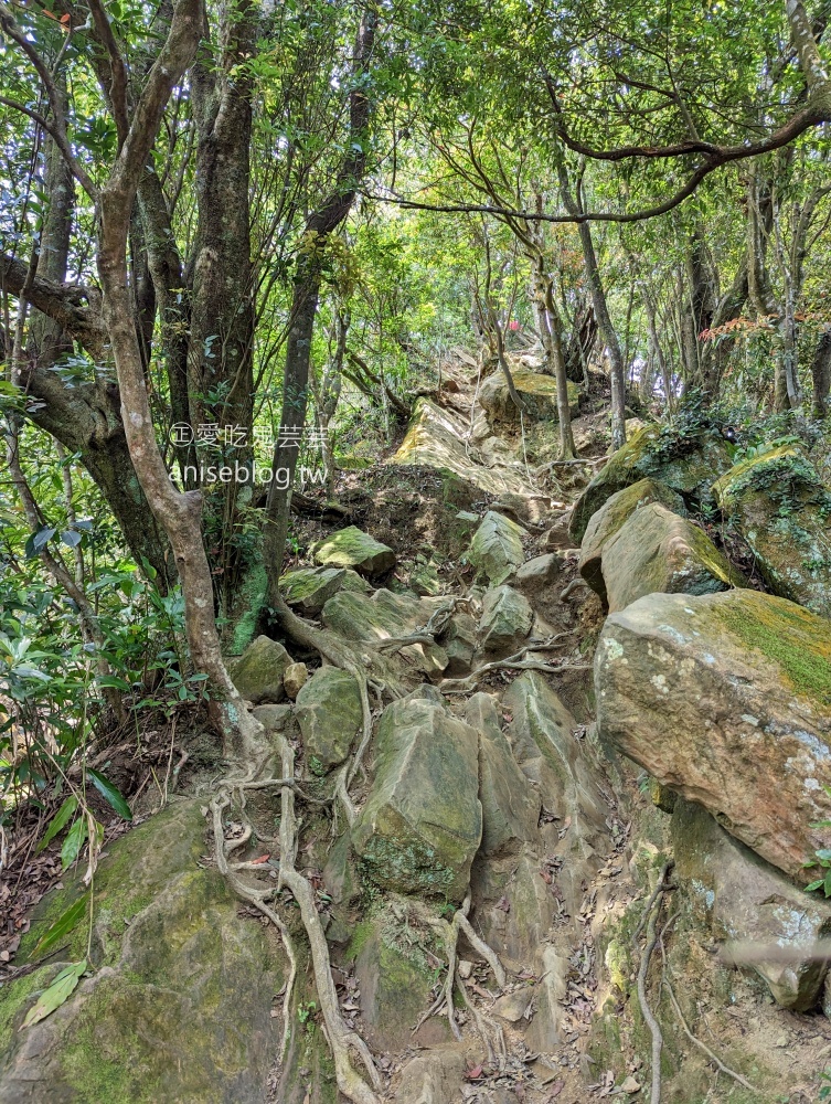 五寮尖登山步道，要手腳並用的拉繩攀岩路線，新北三峽景點(姊姊遊記)