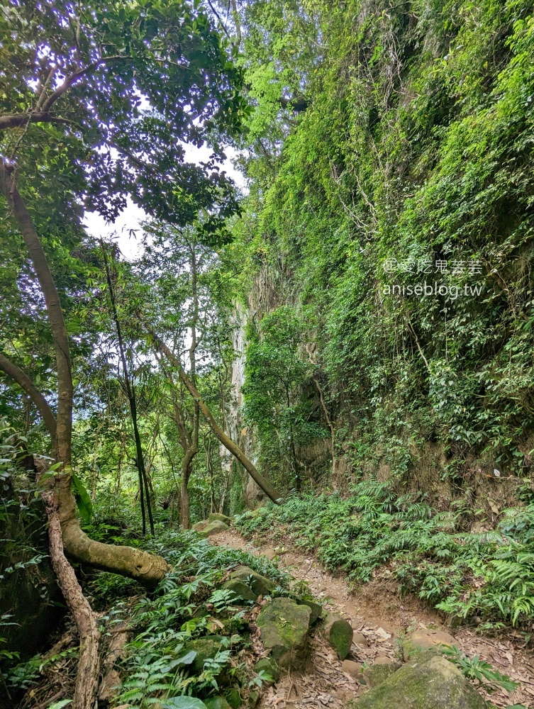 五寮尖登山步道，要手腳並用的拉繩攀岩路線，新北三峽景點(姊姊遊記)