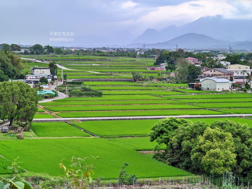 茶田關舍貳館，極致浮誇早餐、台東關山親子民宿(姊姊遊記)