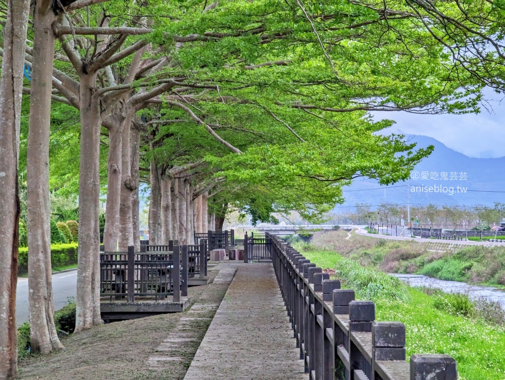 茶田關舍貳館，極致浮誇早餐、台東關山親子民宿(姊姊遊記)