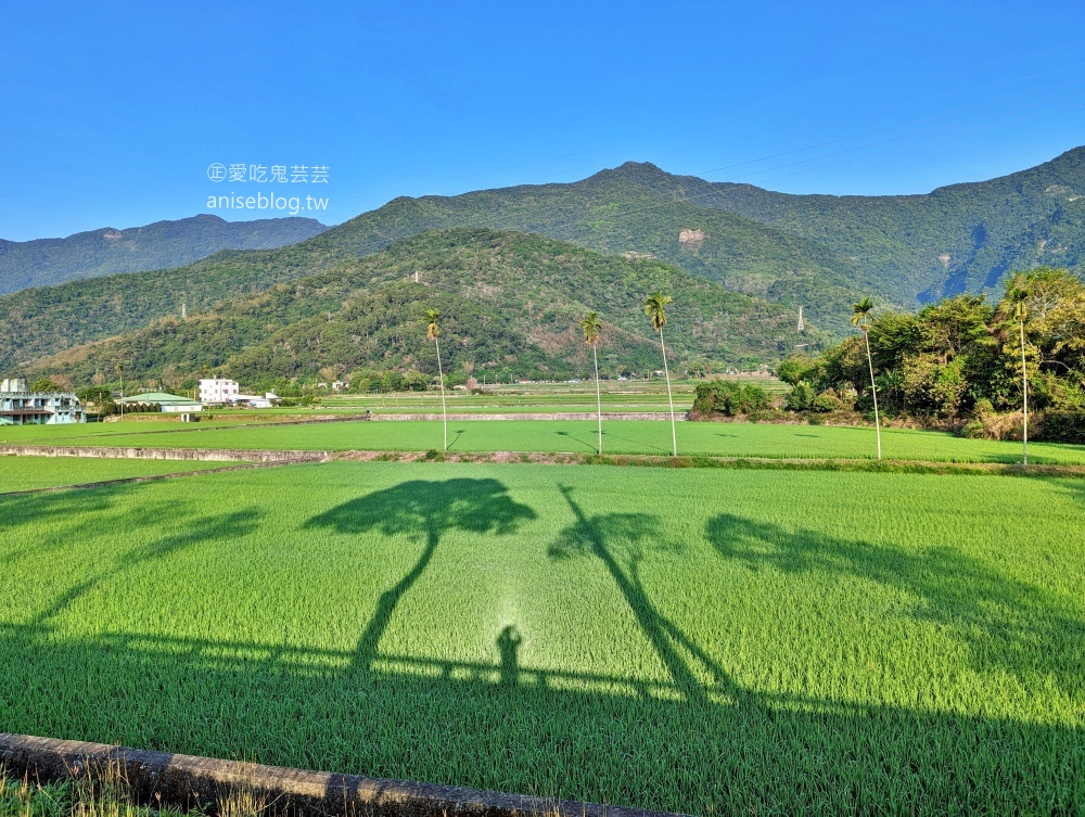 茶田關舍貳館，極致浮誇早餐、台東關山親子民宿(姊姊遊記)