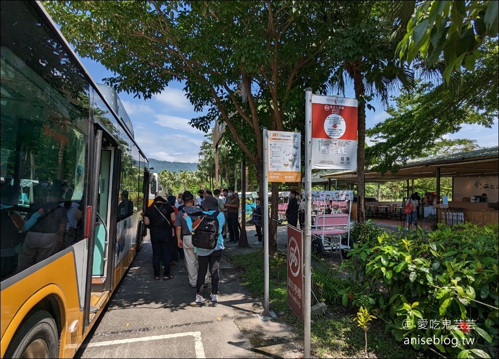 花蓮免開車新玩法，台灣好行花蓮縱谷線遊輪式公車，陪你花蓮玩透透！(半日遊篇)