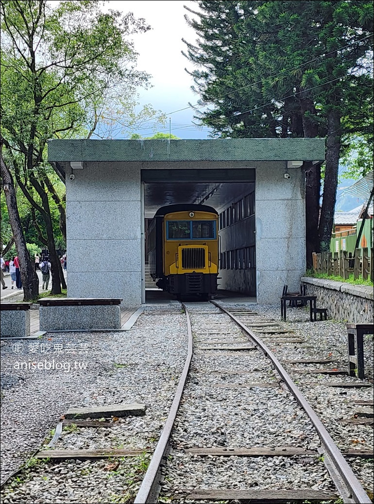 花蓮免開車新玩法，台灣好行花蓮縱谷線遊輪式公車，陪你花蓮玩透透！(半日遊篇)