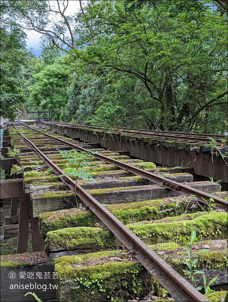 花蓮免開車新玩法，台灣好行花蓮縱谷線遊輪式公車，陪你花蓮玩透透！(半日遊篇)