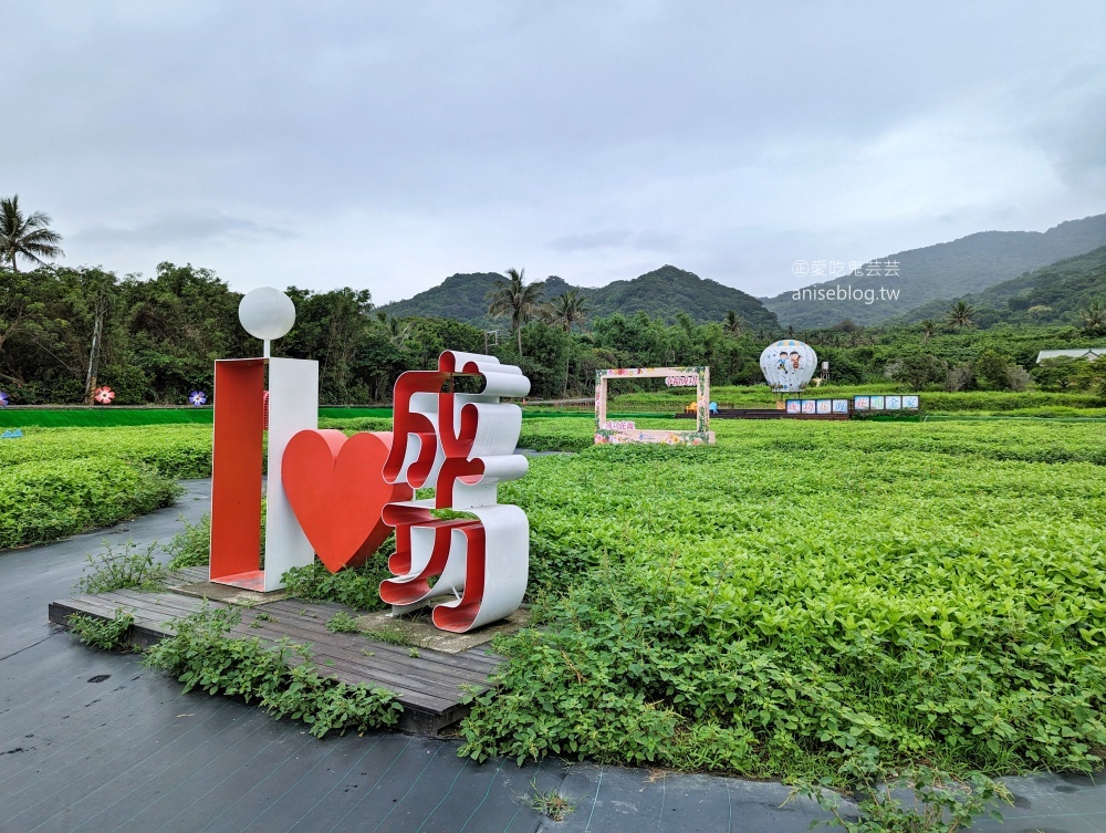 石雨傘遊憩區、男人石，東海岸大地藝術節，台東成功小旅行(姊姊遊記)