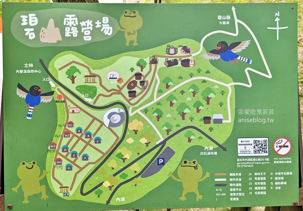 一分鐘走進台北絕美天空步道，順遊台北小溪頭森林步道，碧山露營場大崙頭尾山(姊姊遊記)