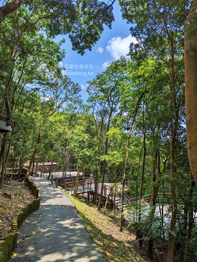 一分鐘走進台北絕美天空步道，順遊台北小溪頭森林步道，碧山露營場大崙頭尾山(姊姊遊記)