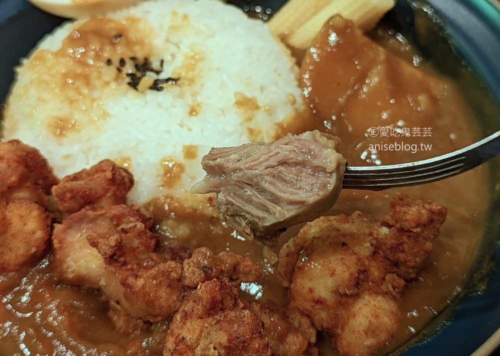 暮咖哩Mu Curry，桃園中正藝文特區美食(姊姊食記)