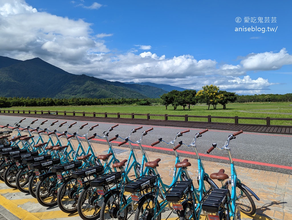 徐行縱谷 | 電輔車輕鬆遊花東，多條路線可選擇-花蓮篇 ( 注意！圖多 )