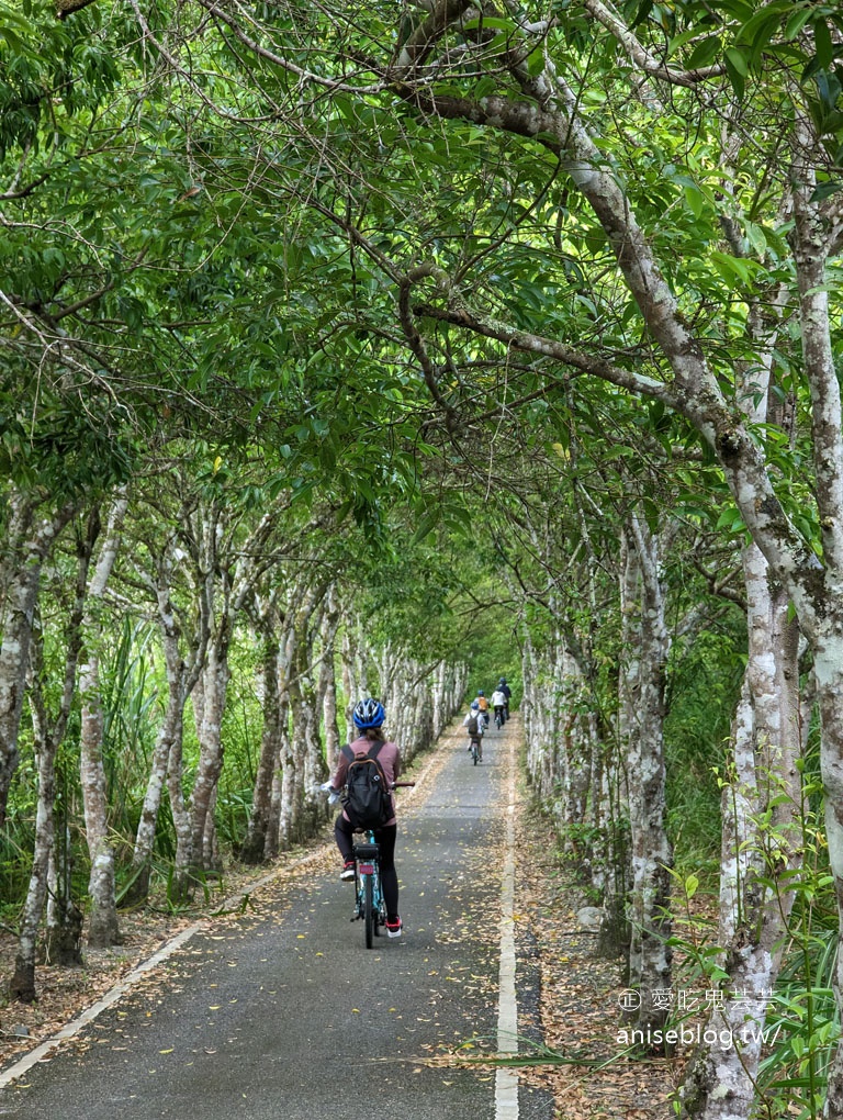 徐行縱谷 | 電輔車輕鬆遊花東，多條路線可選擇-花蓮篇 ( 注意！圖多 )