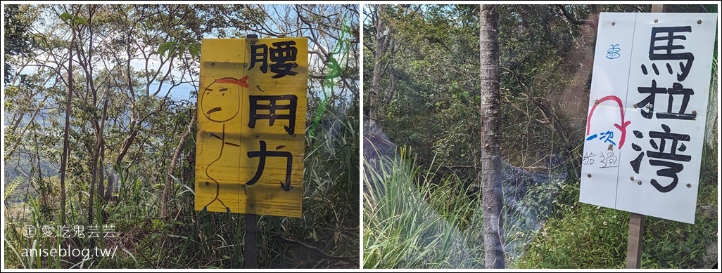 徐行縱谷 | 電輔車輕鬆遊花東，多條路線可選擇-台東篇