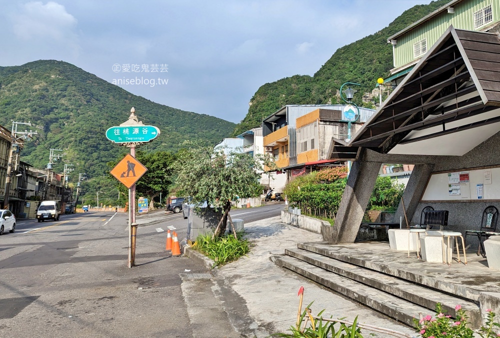 草嶺古道芒花季，桃源谷步道大溪線接草嶺線(姊姊遊記)