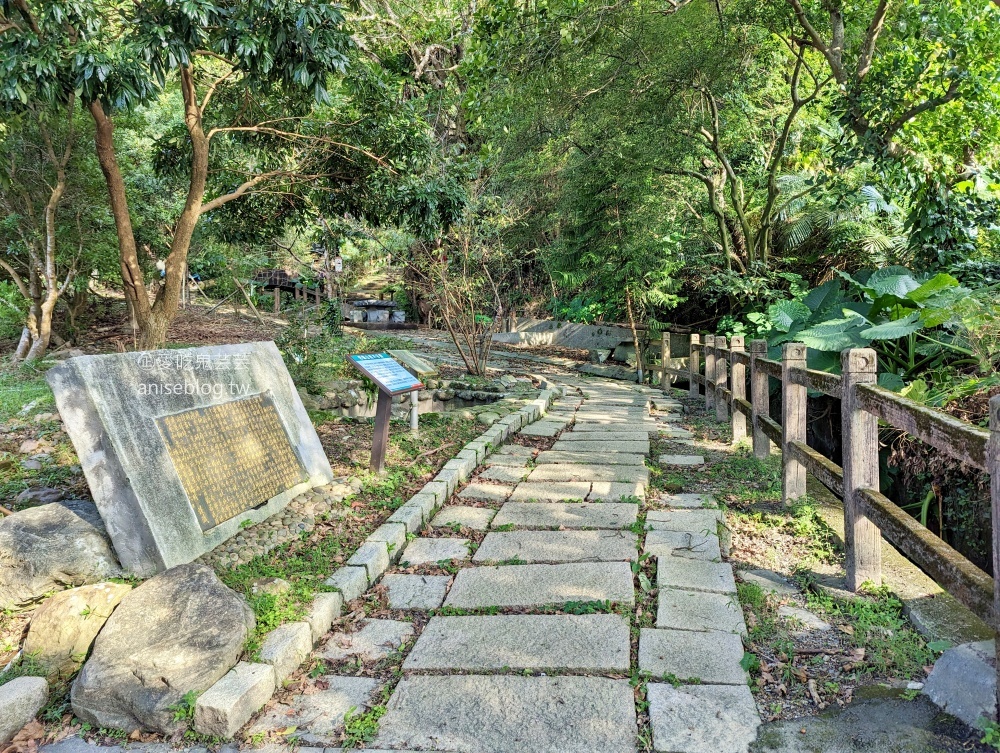 草嶺古道芒花季，桃源谷步道大溪線接草嶺線(姊姊遊記)