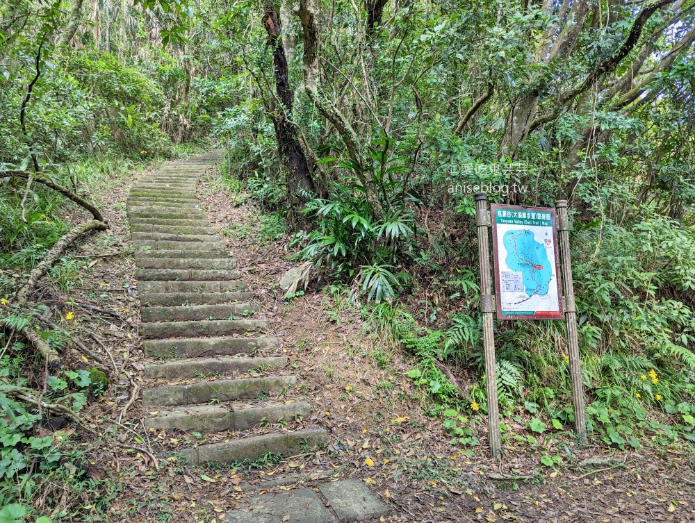 草嶺古道芒花季，桃源谷步道大溪線接草嶺線(姊姊遊記)