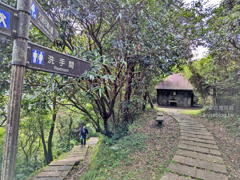 草嶺古道芒花季，桃源谷步道大溪線接草嶺線(姊姊遊記)