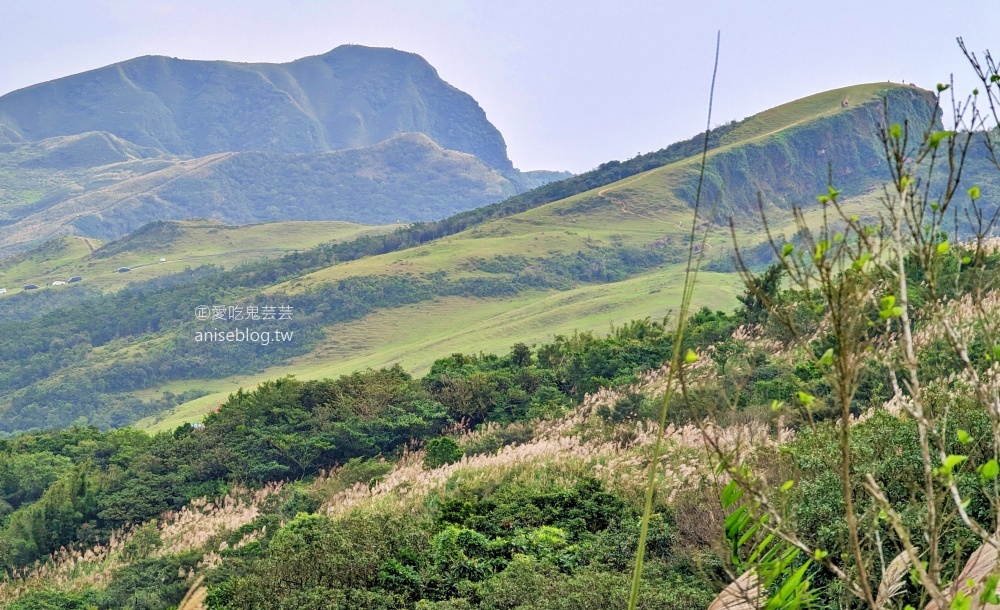 草嶺古道芒花季，桃源谷步道大溪線接草嶺線(姊姊遊記)