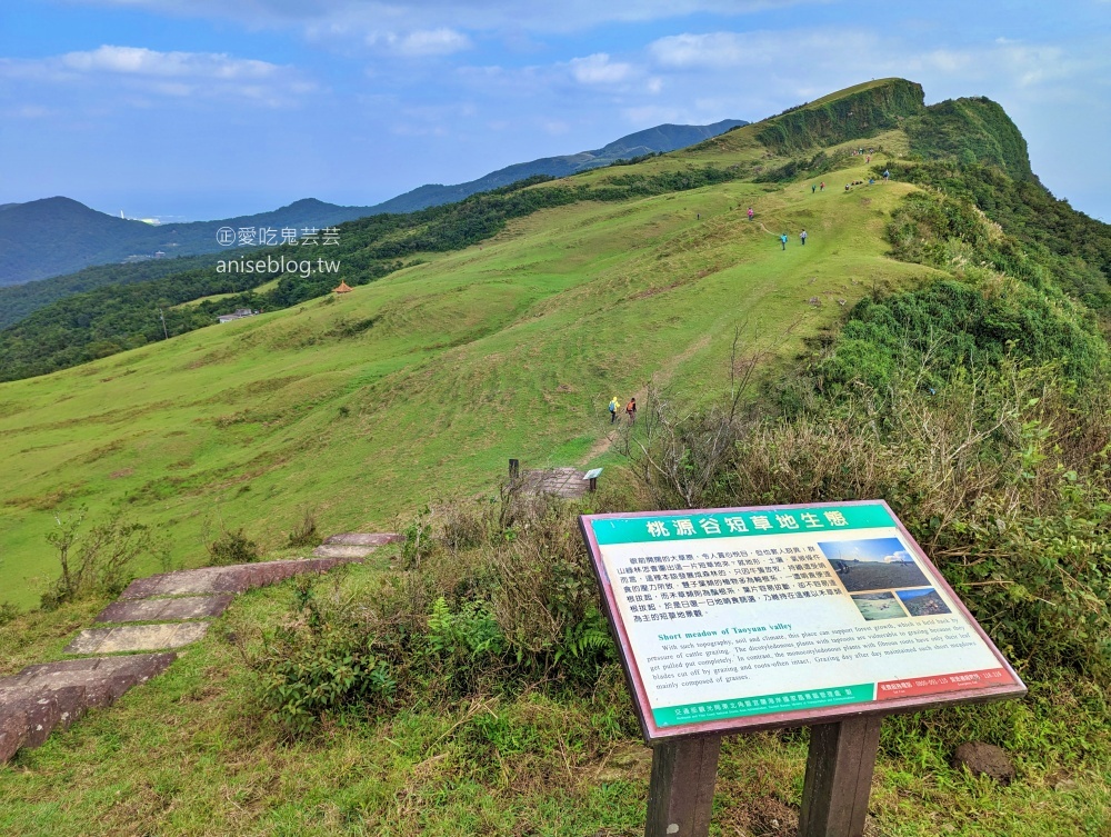 草嶺古道芒花季，桃源谷步道大溪線接草嶺線(姊姊遊記)