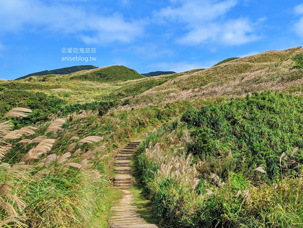 草嶺古道芒花季，桃源谷步道大溪線接草嶺線(姊姊遊記)