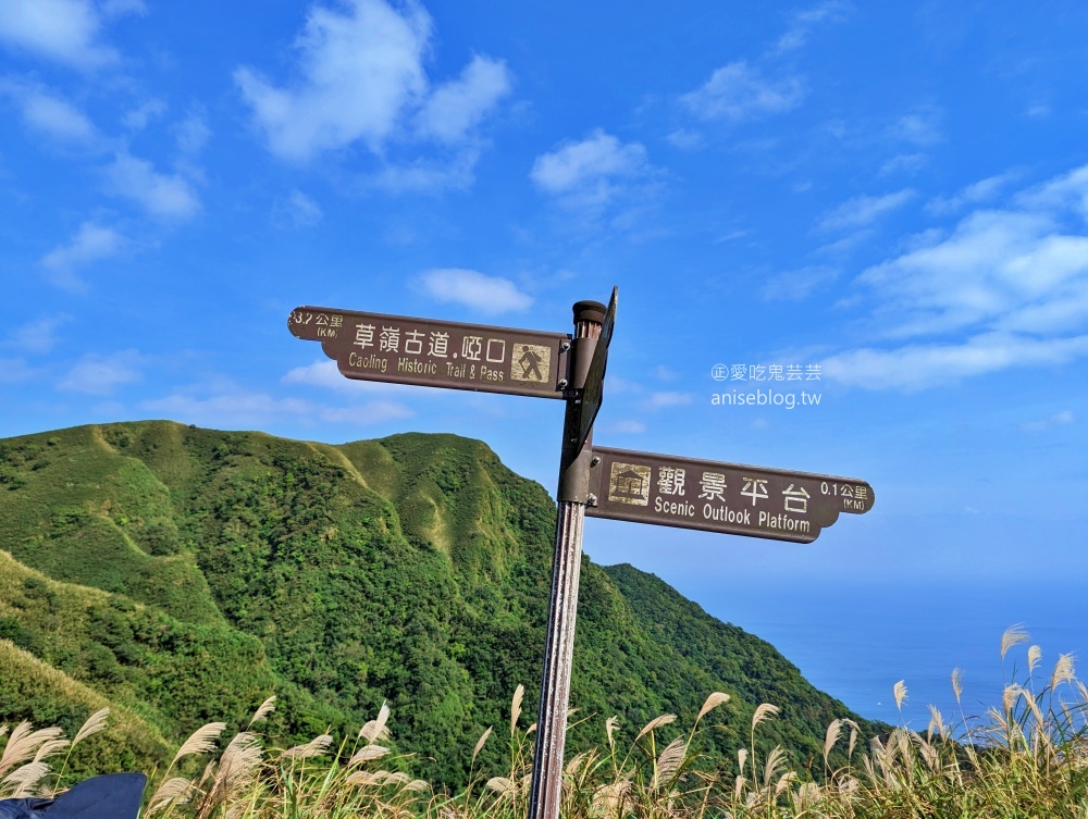 草嶺古道芒花季，桃源谷步道大溪線接草嶺線(姊姊遊記)