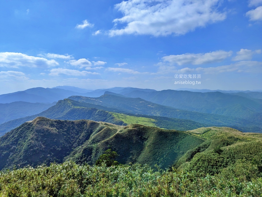 草嶺古道芒花季，桃源谷步道大溪線接草嶺線(姊姊遊記)