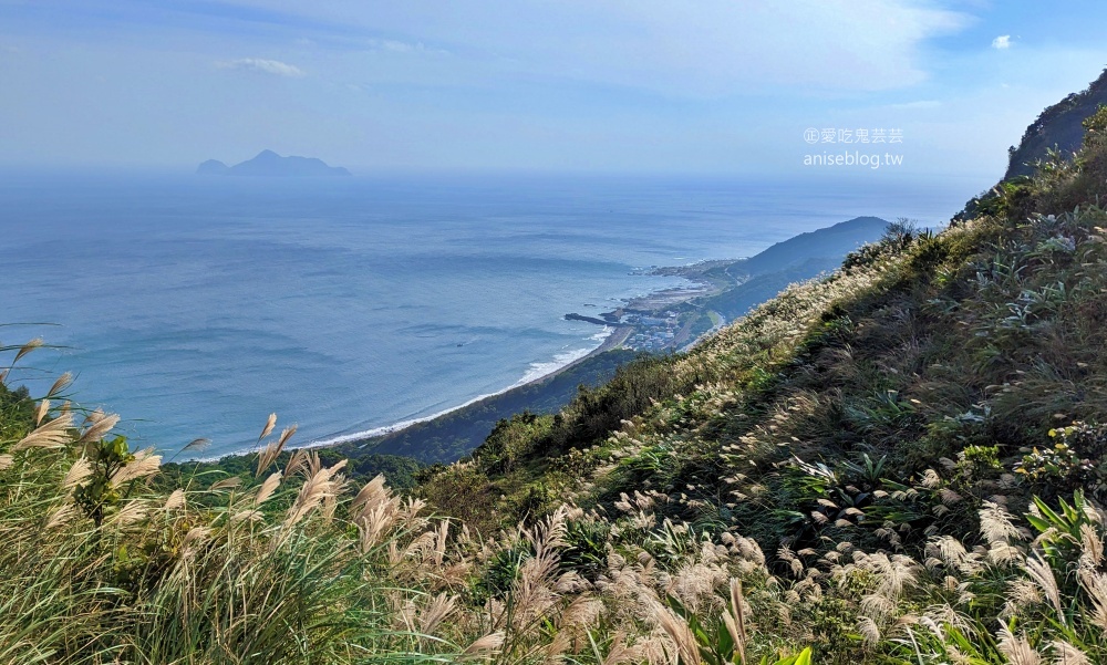 草嶺古道芒花季，桃源谷步道大溪線接草嶺線(姊姊遊記)