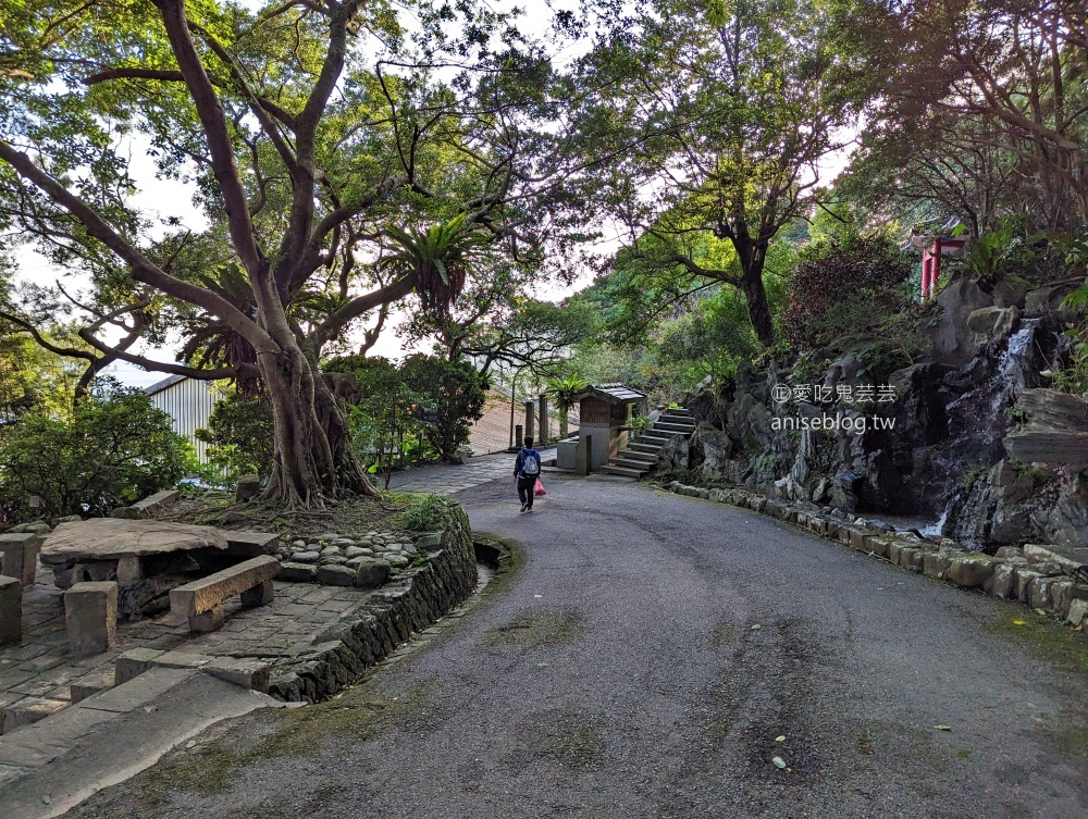 草嶺古道芒花季，桃源谷步道大溪線接草嶺線(姊姊遊記)