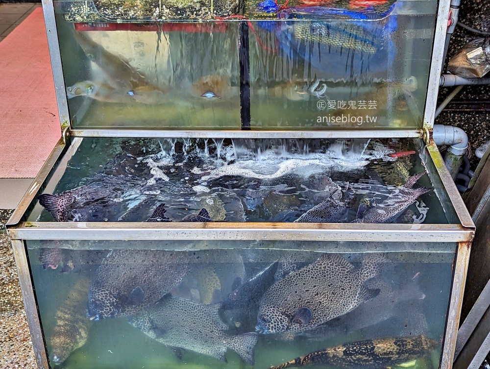 漁家鄉海鮮餐廳，花蟹正肥美，北海岸萬里龜吼漁港美食(姊姊食記)