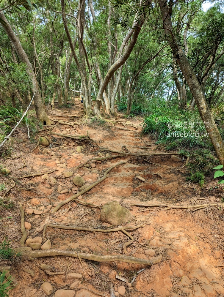 火炎山北鞍線環狀步道，苗栗也可以欣賞大峽谷地形(姊姊遊記)