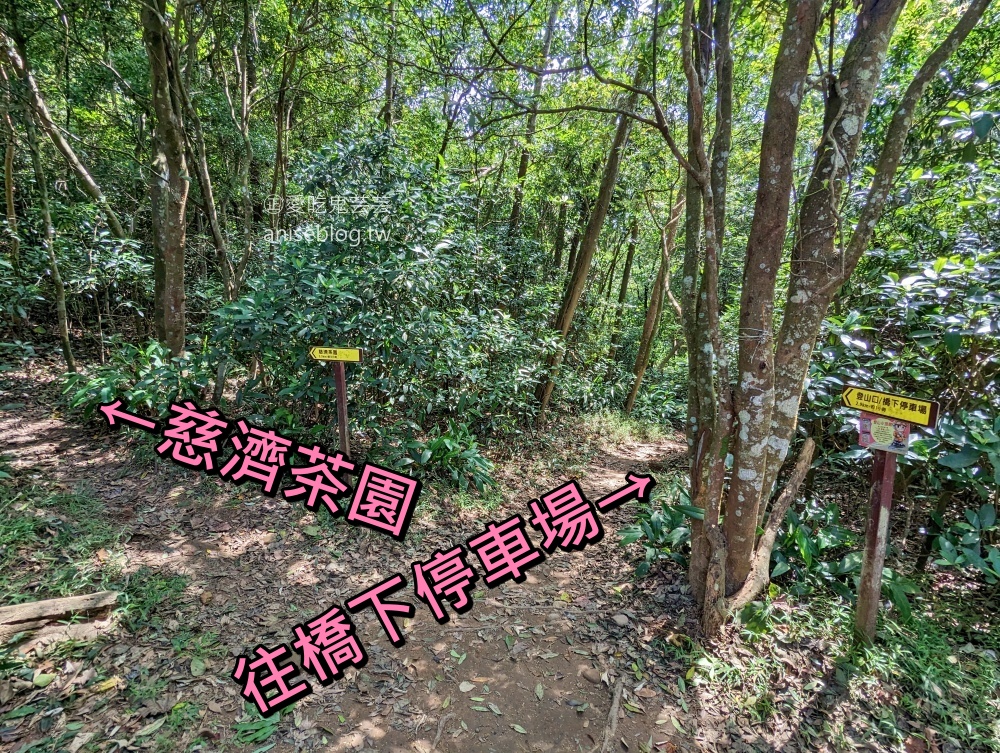 火炎山北鞍線環狀步道，苗栗也可以欣賞大峽谷地形(姊姊遊記)