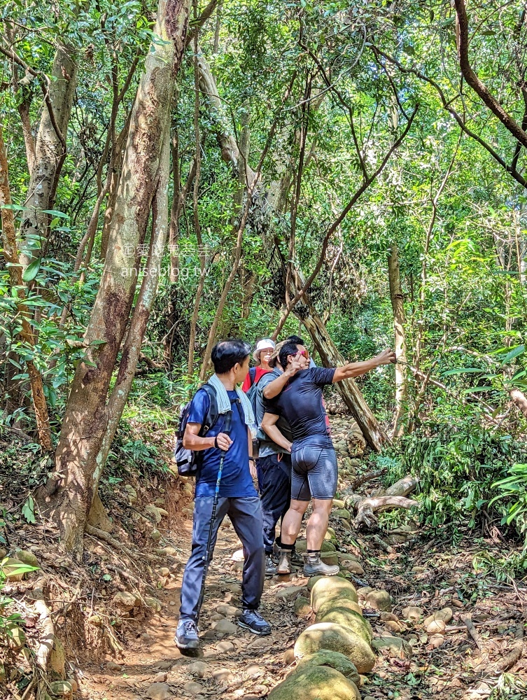 火炎山北鞍線環狀步道，苗栗也可以欣賞大峽谷地形(姊姊遊記)