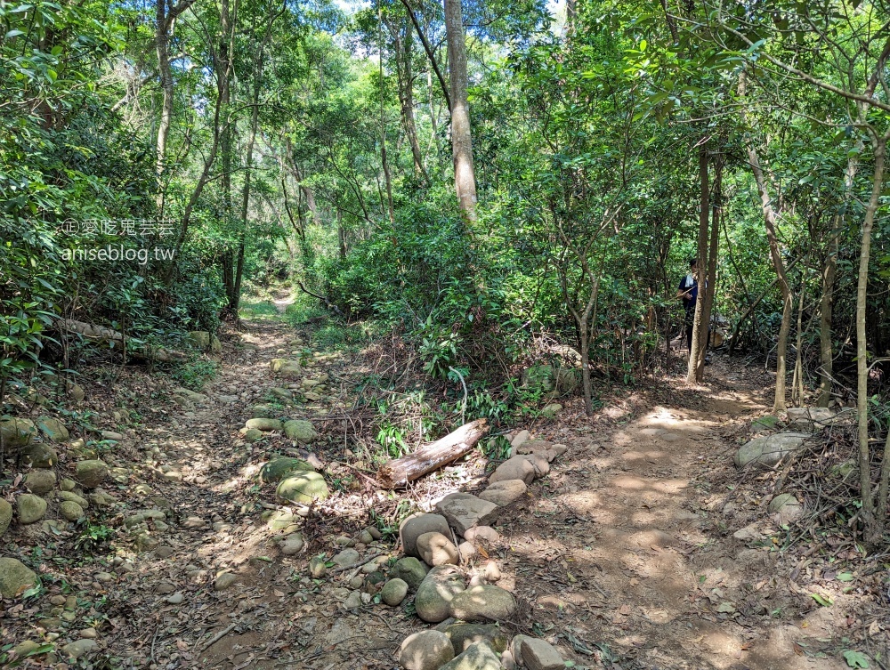 火炎山北鞍線環狀步道，苗栗也可以欣賞大峽谷地形(姊姊遊記)