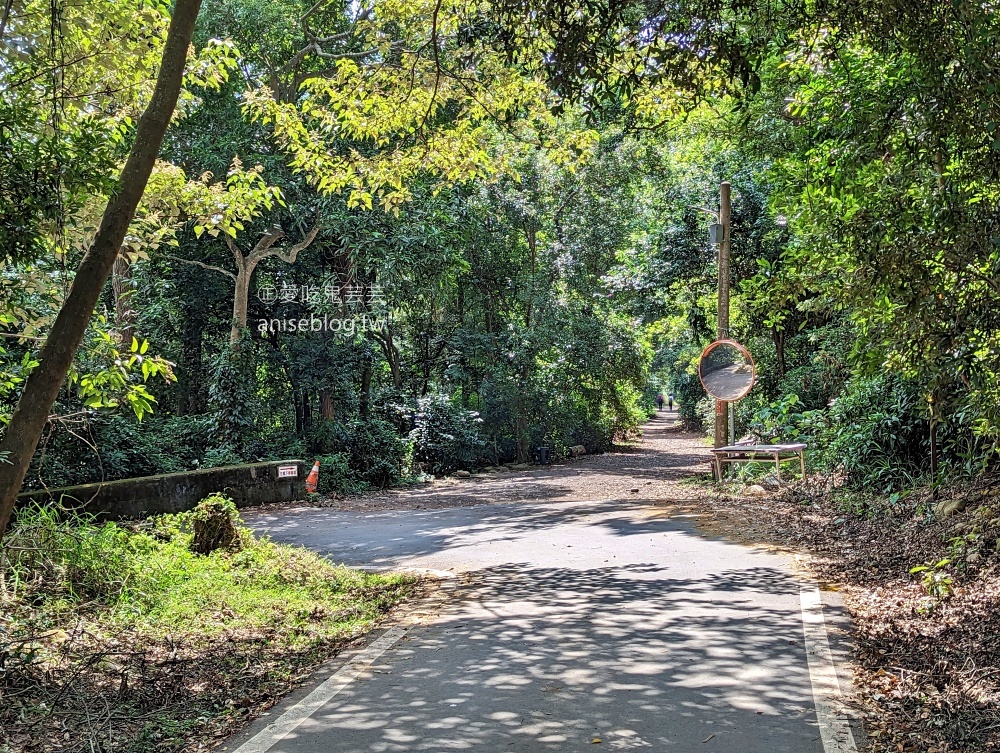 火炎山北鞍線環狀步道，苗栗也可以欣賞大峽谷地形(姊姊遊記)