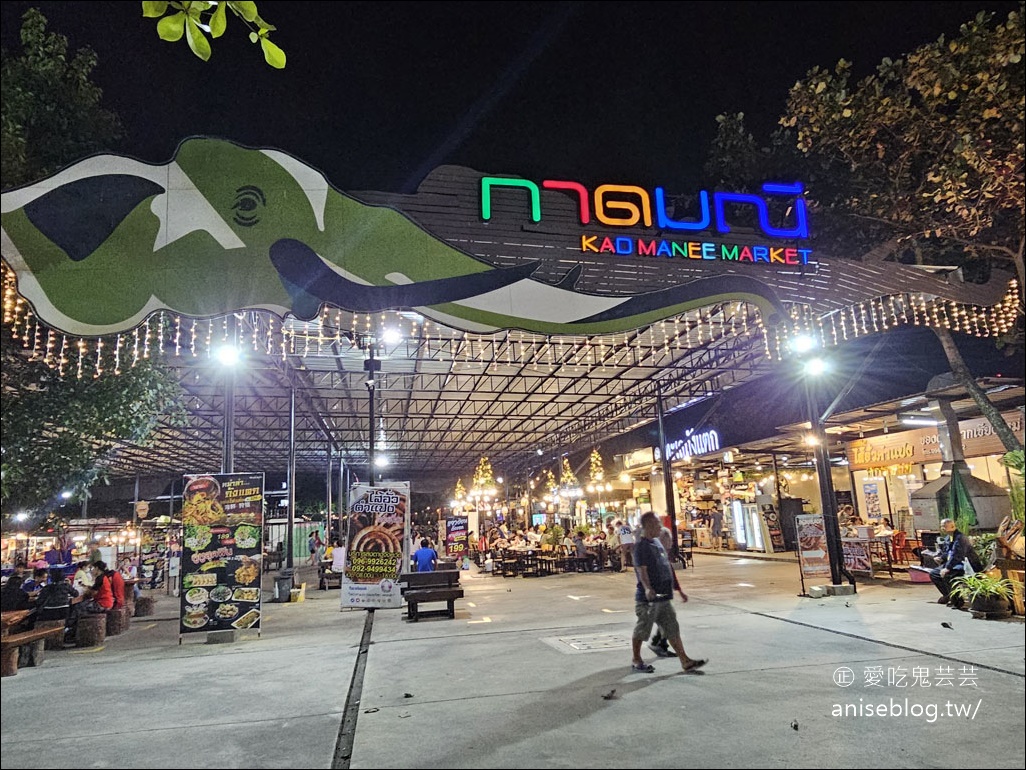 清邁夜市 กาดมณี Kadmanee Market Chiangmai ，脆皮燒肉也太好吃了吧！