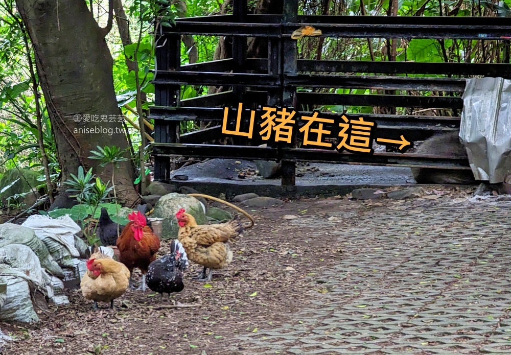 芳裕農場，盡享山林綠意與美味的山產野菜料理，基隆美食(姊姊食記)