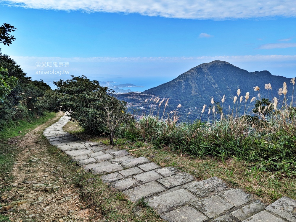 金瓜石地質公園-本山礦體，彷彿巨人棋盤的神祕石頭陣(姊姊遊記)