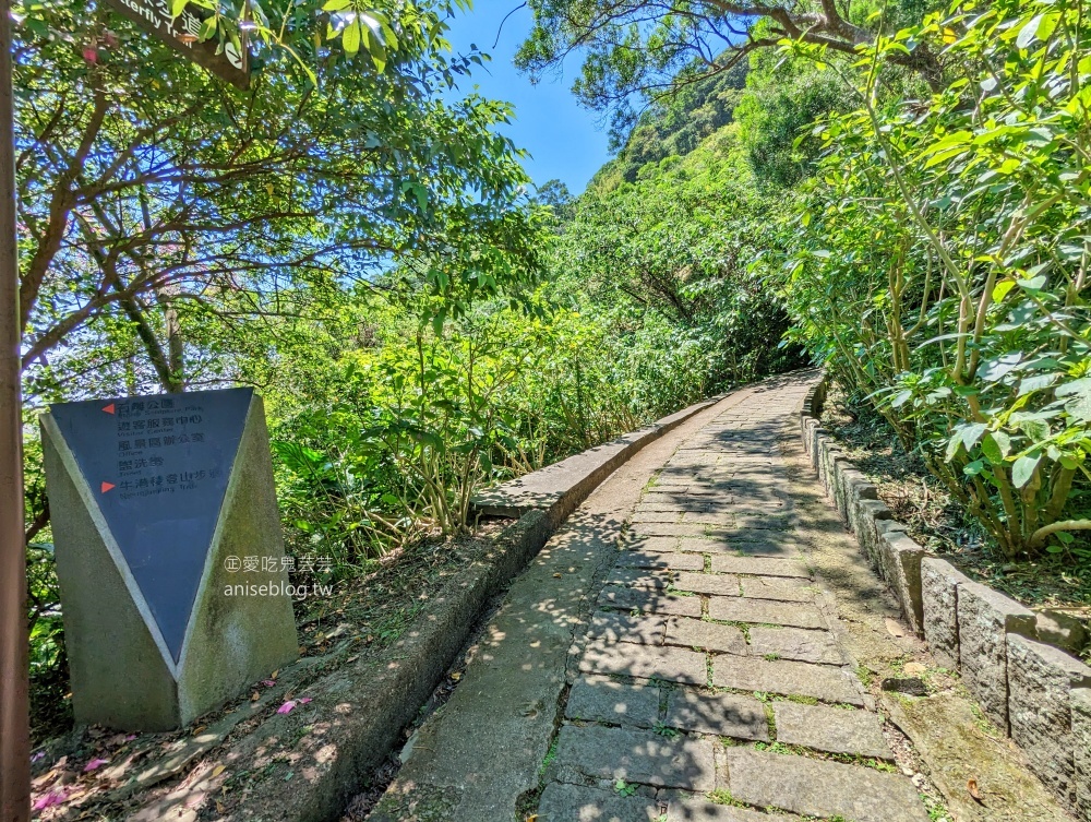 觀音山牛港稜步道，猛禽展示館，新北八里走春踏青好去處(姊姊遊記)