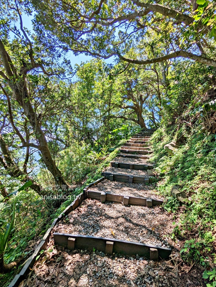 觀音山牛港稜步道，猛禽展示館，新北八里走春踏青好去處(姊姊遊記)