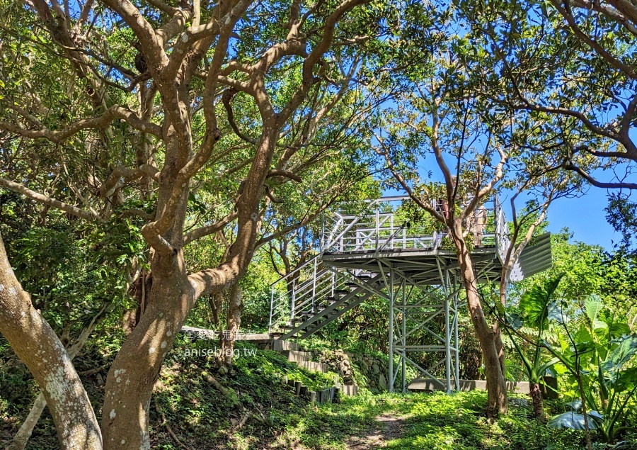 觀音山牛港稜步道，猛禽展示館，新北八里走春踏青好去處(姊姊遊記)