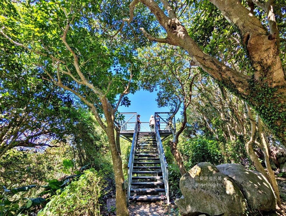 觀音山牛港稜步道，猛禽展示館，新北八里走春踏青好去處(姊姊遊記)