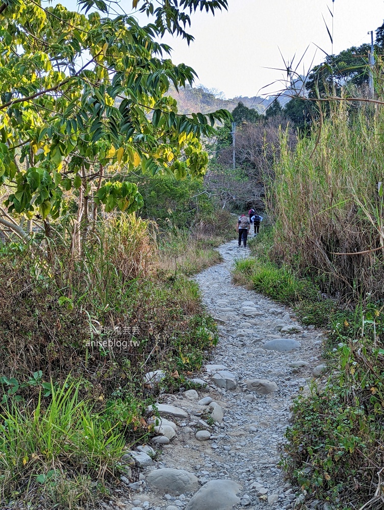 大坑2、3、4、5號步道、頭嵙山登頂欣賞大台中絕佳視野(姊姊遊記)