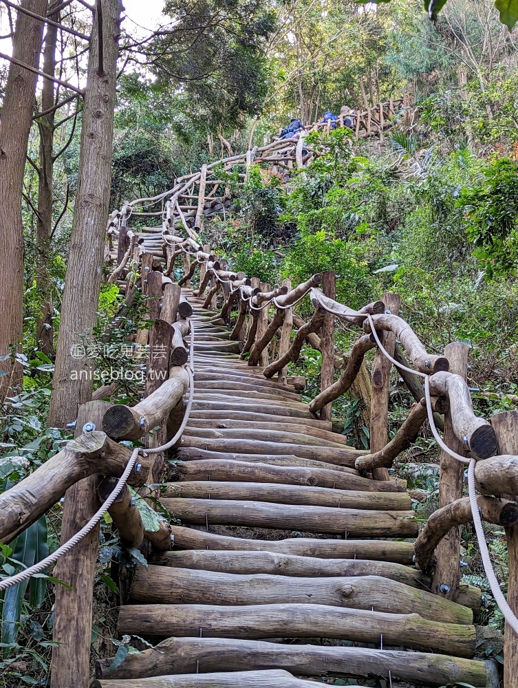 大坑2、3、4、5號步道、頭嵙山登頂欣賞大台中絕佳視野(姊姊遊記)