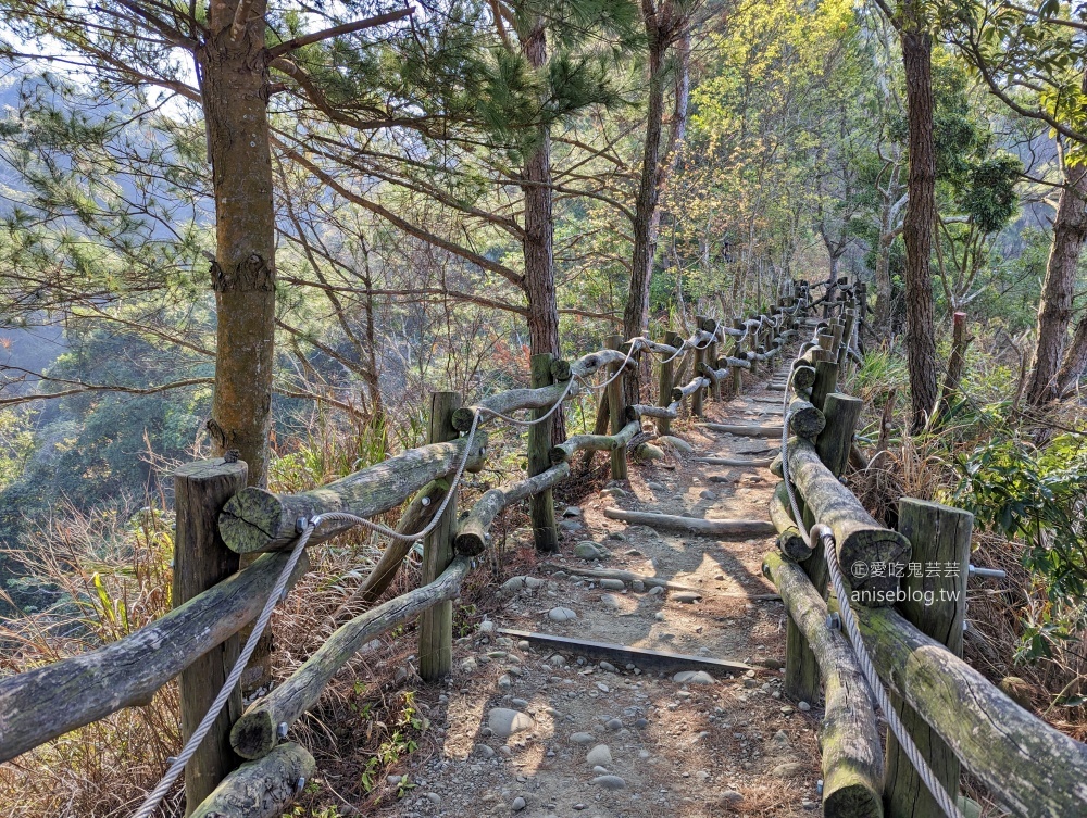 大坑2、3、4、5號步道、頭嵙山登頂欣賞大台中絕佳視野(姊姊遊記)