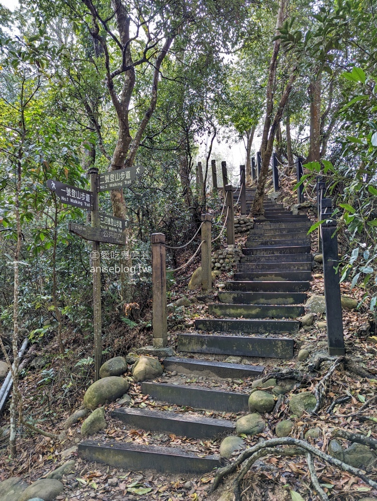 大坑2、3、4、5號步道、頭嵙山登頂欣賞大台中絕佳視野(姊姊遊記)