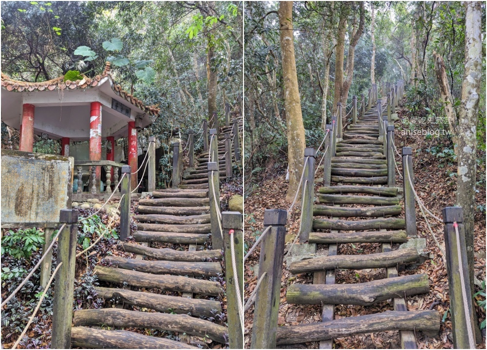 大坑2、3、4、5號步道、頭嵙山登頂欣賞大台中絕佳視野(姊姊遊記)