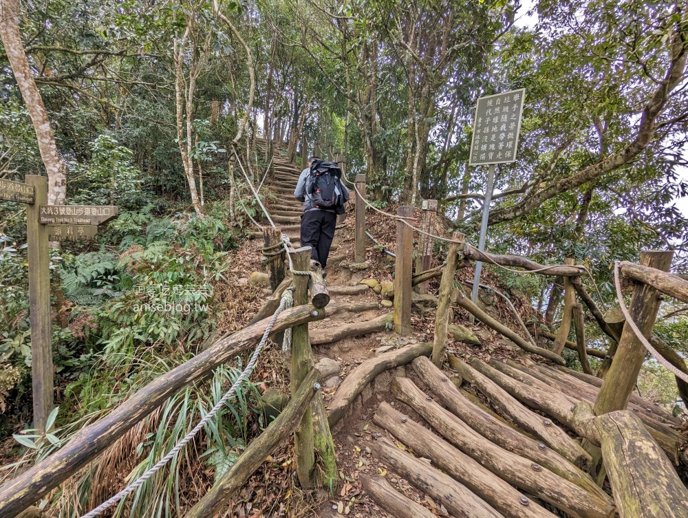 大坑2、3、4、5號步道、頭嵙山登頂欣賞大台中絕佳視野(姊姊遊記)