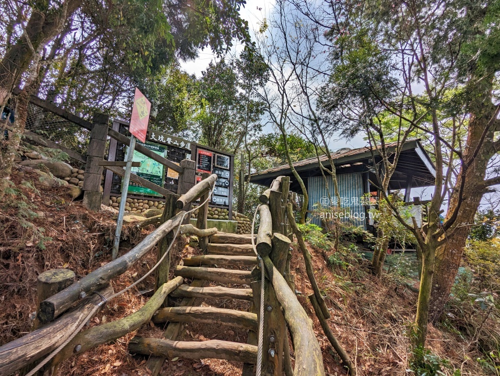 大坑2、3、4、5號步道、頭嵙山登頂欣賞大台中絕佳視野(姊姊遊記)