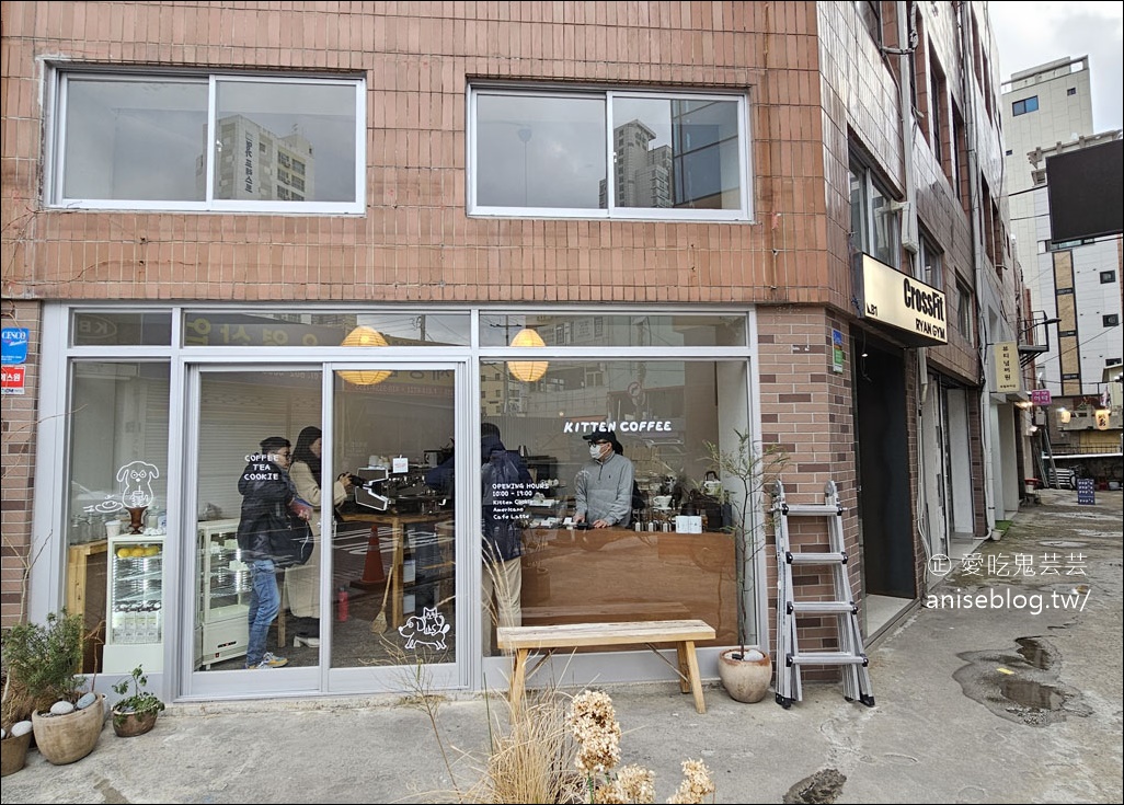 釜山田浦咖啡街 kitten coffee，超可愛小狗蛋糕，這家店是可愛專賣店吧！